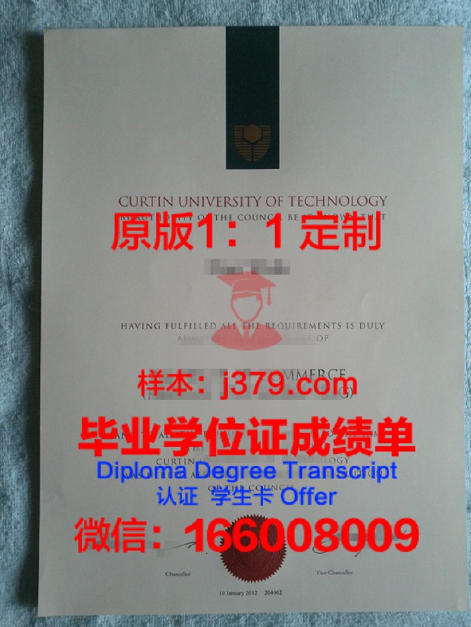 莱比锡技术经济与文化应用技术大学毕业证书模板(莱比锡高等专业学院)