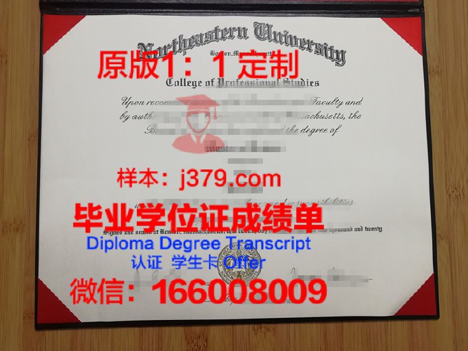 东北大学毕业证外皮照片是几寸(东北大学的毕业证什么样子)