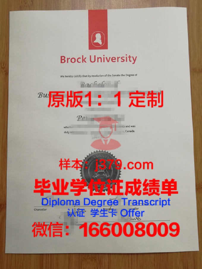 纽约市立大学布鲁克林学院毕业证外壳(美国纽约城市大学布鲁克林学院毕业证)