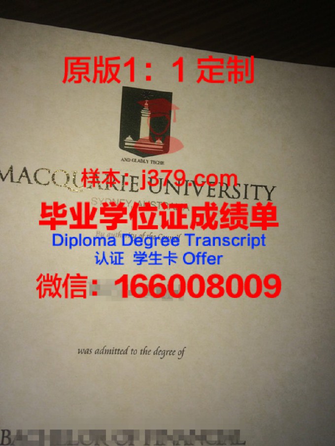 麦考瑞大学毕业证是真的吗(麦考瑞大学值得上吗)