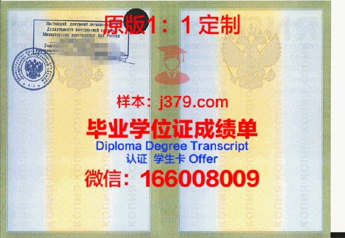 莫斯科国立文化艺术大学diploma证书(莫斯科国立大学艺术系介绍)