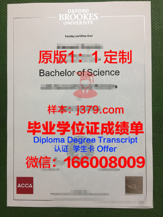 舍布鲁克大学毕业证学位证(布鲁克斯大学学士学位)