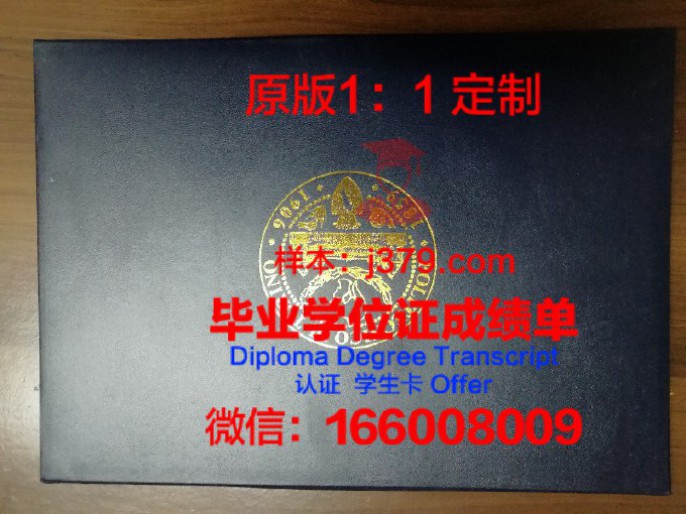 都灵理工大学毕业证图片Polytechnic University of Turin Diploma