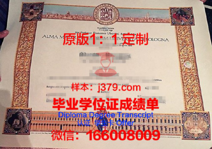 安微尼亚大学毕业证图片Alvernia University Diploma