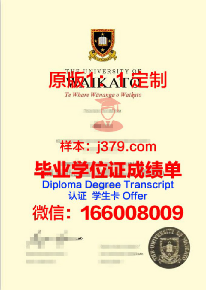 怀卡托理工学院毕业证图片Waikato Institute of Technology Diploma