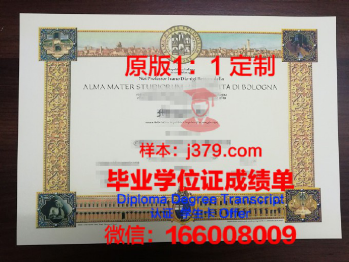 安微尼亚大学毕业证图片Alvernia University Diploma