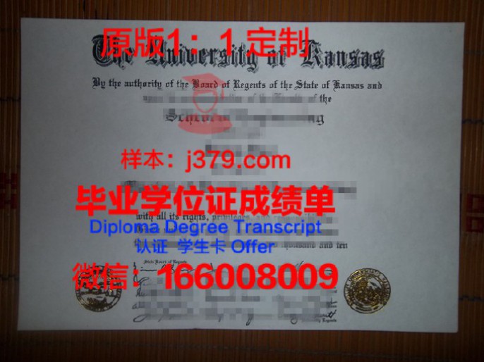 达拉斯艺术学院毕业证学位文凭学历Diploma