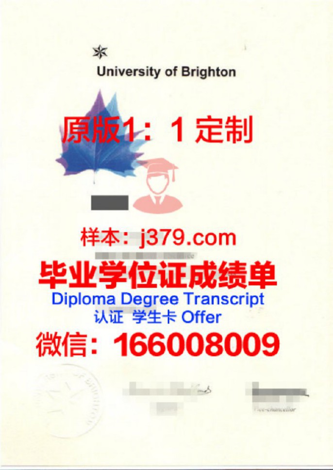 【英国学校】布莱顿大学毕业证样本