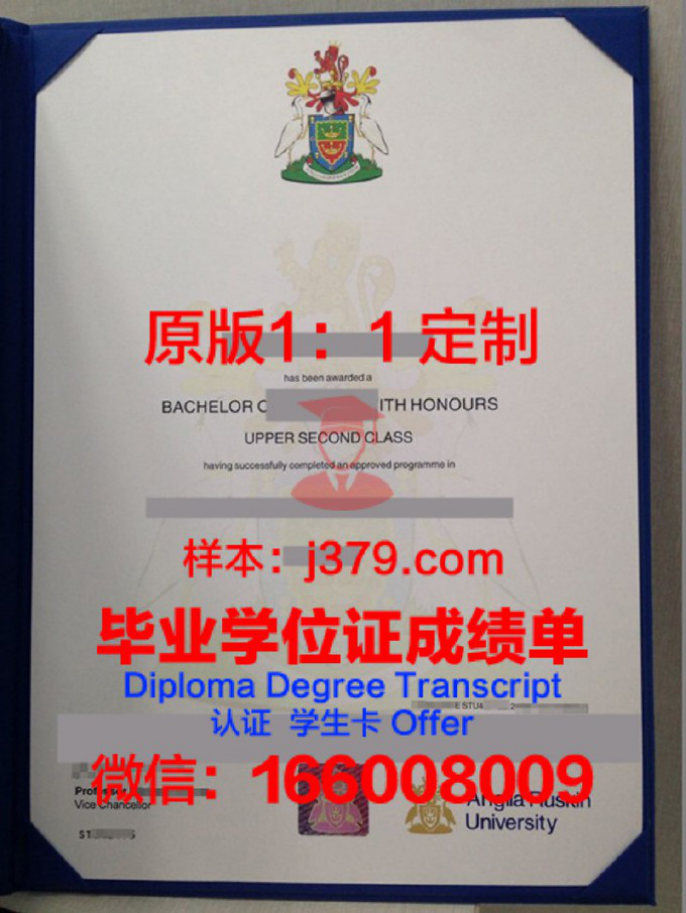 安格利亚鲁斯金大学毕业证学位文凭学历Diploma