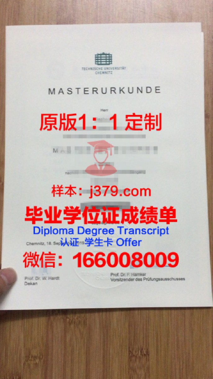 开姆尼茨工业大学毕业证图片Chemnitz University of Technology Diploma