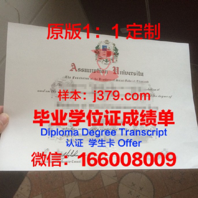 纳瓦拉大学毕业学位