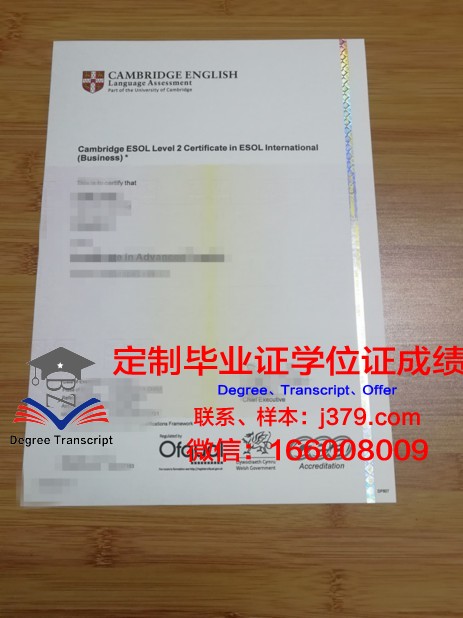 筑波大学毕业证书图片模板(筑波大学大学院)