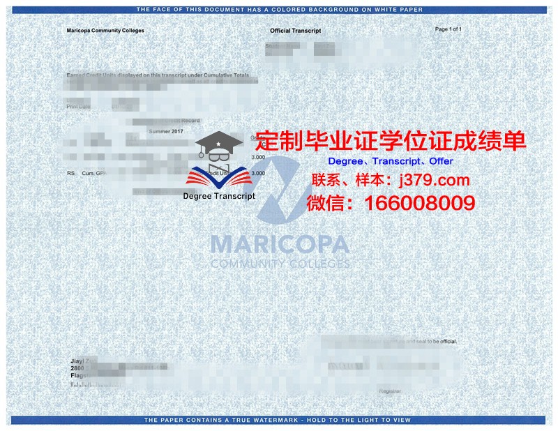 马斯大成绩单:一份揭示科技巨擘成就的清单