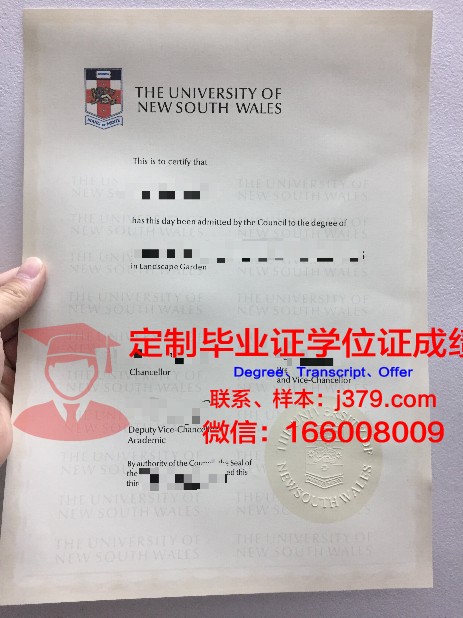 Hadi U本科毕业证:承载荣誉与梦想的证书