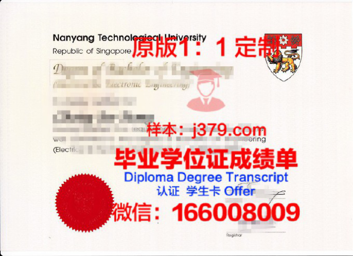 新加坡理工学院毕业证学位文凭学历Diploma