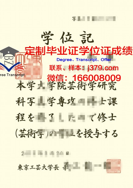 玛拉工艺大学成绩单(玛拉工艺大学offer)