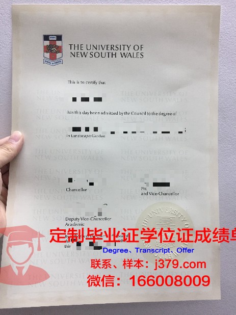 Insper教学与研究学院硕士毕业证