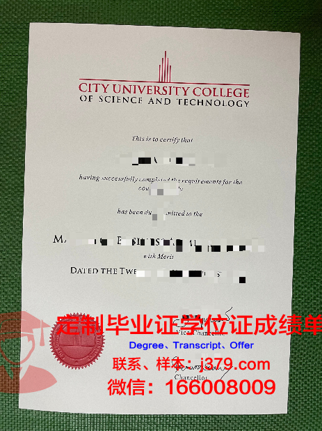 马来西亚石油大学毕业证书图片模板(马来西亚的石油工程师工资)