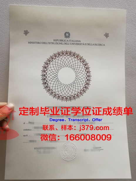 马切拉塔美术学院成绩单：展现艺术教育魅力的画卷