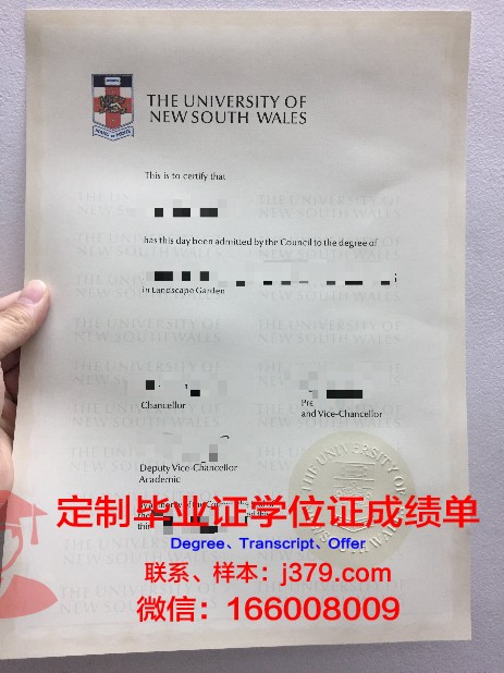 IIT Kanpur硕士毕业证：一份承载荣誉与梦想的证书