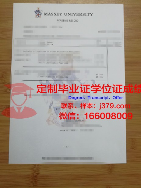 马斯特里赫特大学成绩单:展现学术实力与全球视野