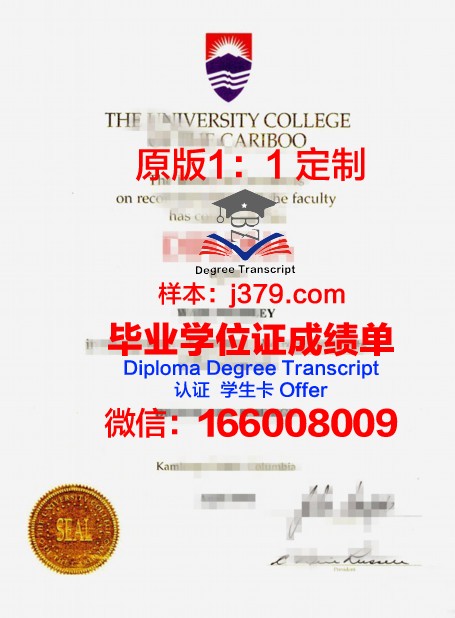 特里布万大学毕业证长什么样(特里布文)