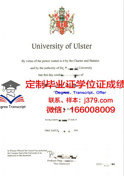 特大学毕业证：不仅仅是证书，更是人生经历的见证