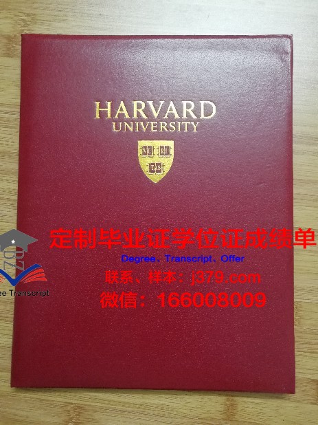 IE大学毕业证壳子(大学毕业证的壳子)