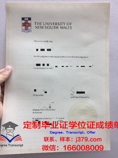 IIUM本科毕业证：一份跨越文化与学术的荣耀证书