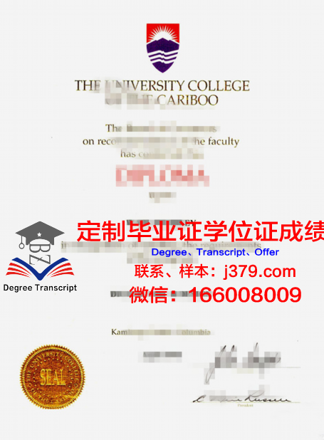 特里布万大学学生证