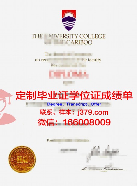 特里布万大学diploma证书(特里-布彻)