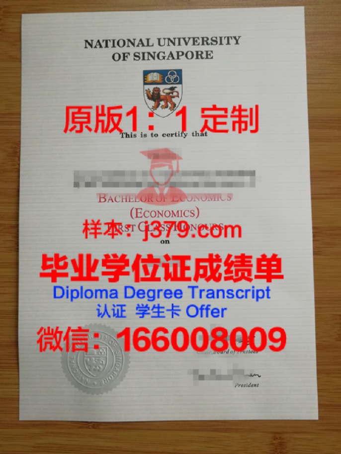 新加坡国立大学毕业证图片National University of Singapore Diploma