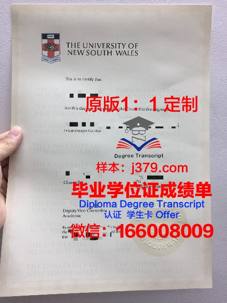 IESA多媒体学院毕业证案例(多媒体专业大学)