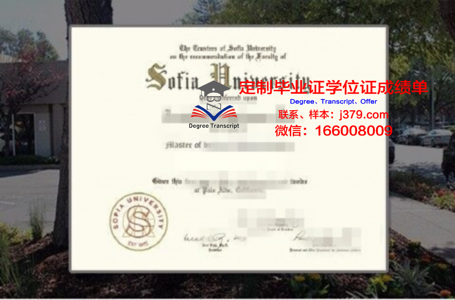 索非亚技术大学普罗夫迪夫分校毕业证学位证(索菲亚大学官网)