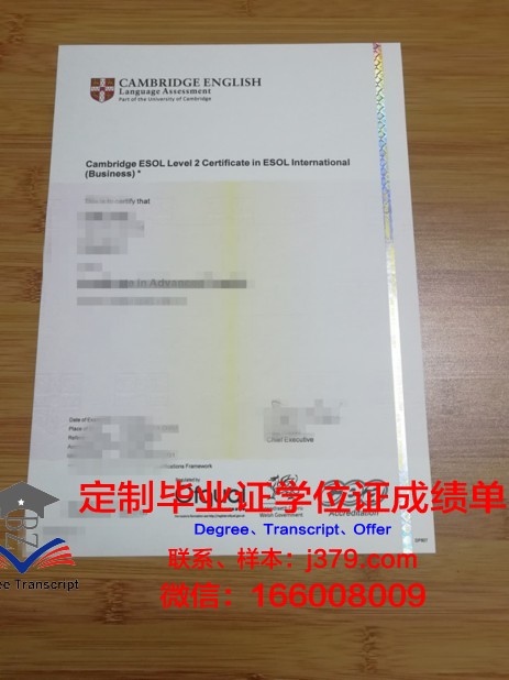 独协大学博士毕业证书(独协大学博士毕业证书有用吗)