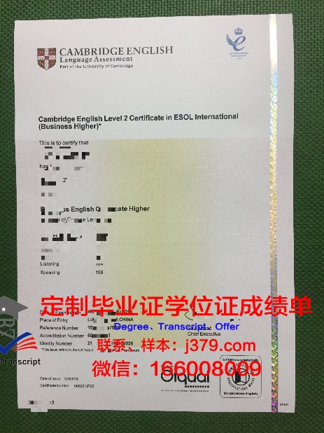 IPAC学院diploma证书(ipa证书怎么就业)