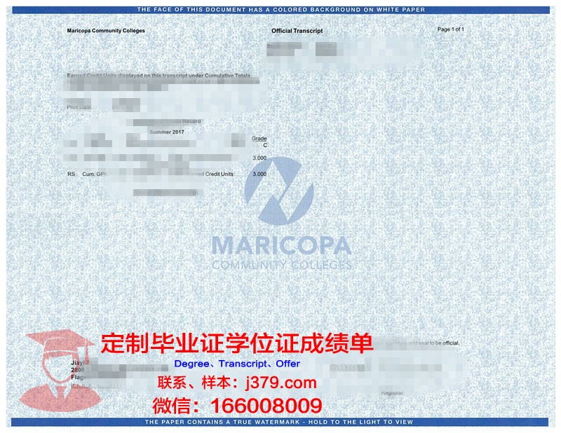 GT学位成绩单定制:实现个性化教育的创新路径