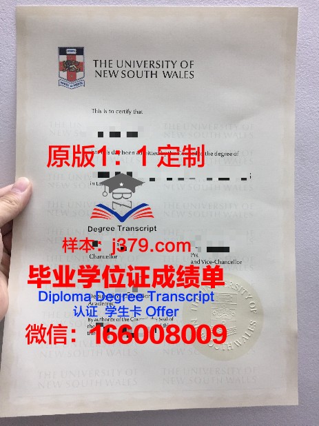 IE大学毕业证补办