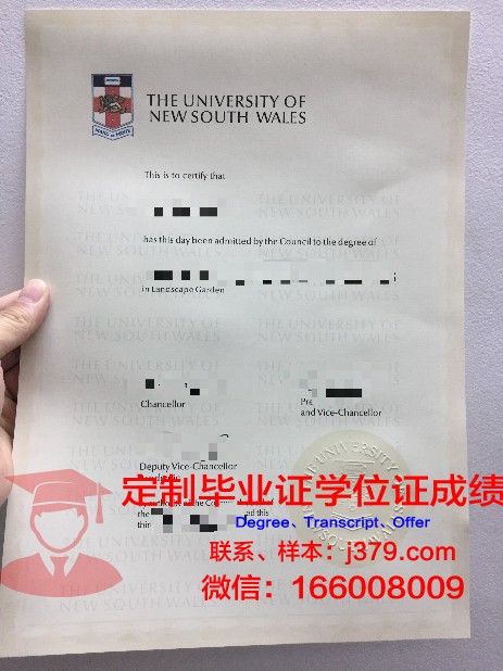 王大学毕业证定制：质量与诚信的碰撞