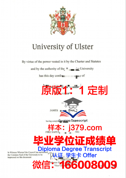 特文特大学毕业证是什么样呢(特温特大学怎么样)