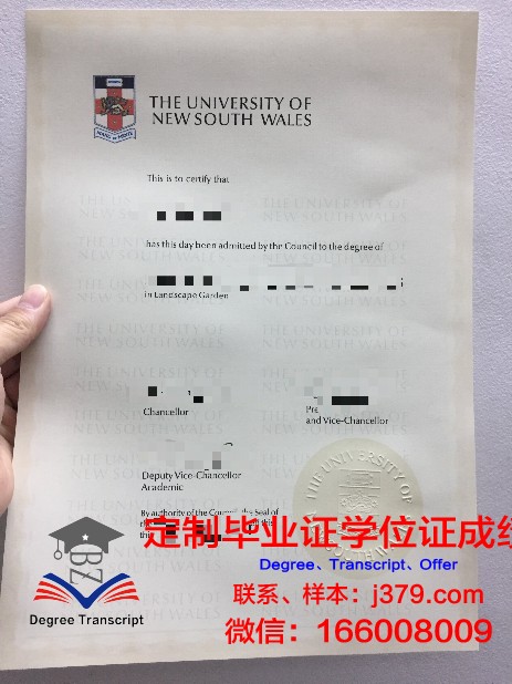 马库米拉图玛伊尼大学达累斯萨拉姆学院毕业证