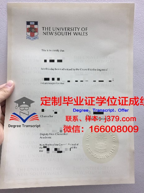 IE大学毕业证定制：重塑教育证明的个性化时代