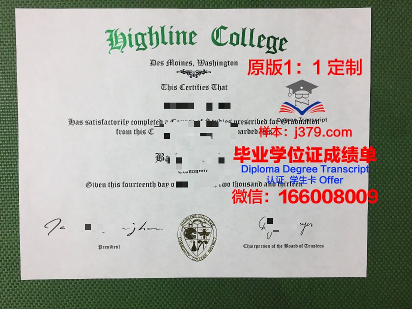 特莱恩大学毕业证丢失怎么补办