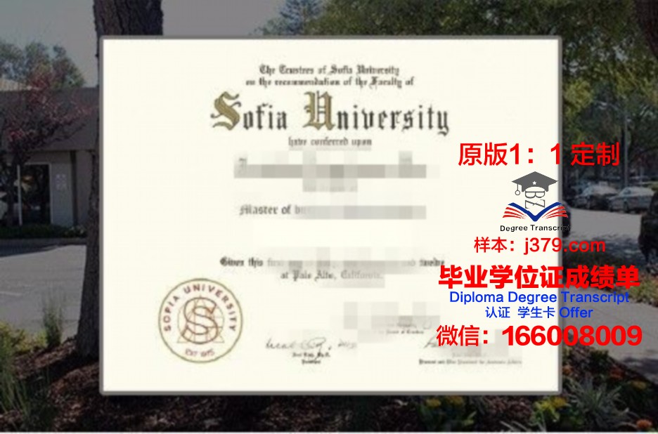 索菲亚赫美大学学院 diploma 毕业证