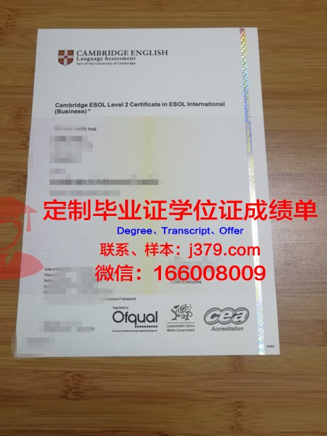 IPAC学院diploma证书(ipa证书怎么就业)