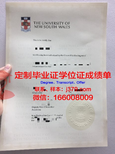 ITMO大学博士毕业证：开启国际科研舞台的通行证