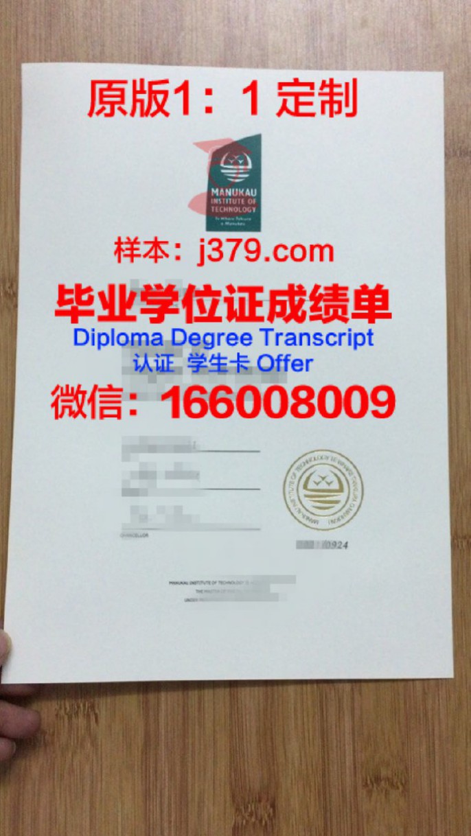 新西兰媒体设计学院毕业证Diploma文凭