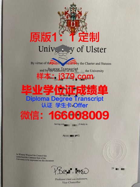 特文特大学diploma证书(特温特大学国内认可)