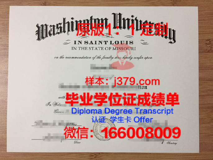 圣路易斯玛丽维尔大学硕士（研究生）毕业证 Maryville University of Saint Louis diploma