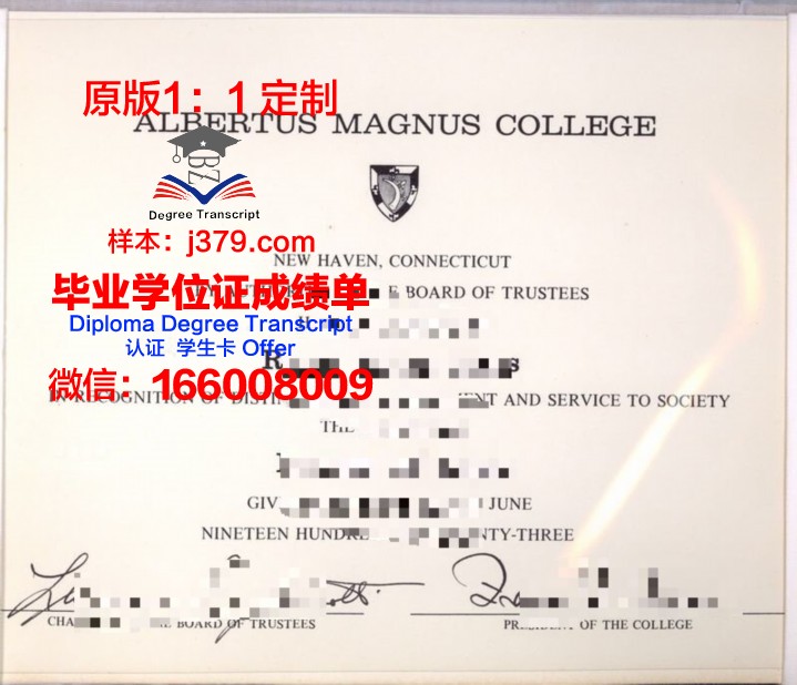 马格努斯大学diploma证书(马格努斯什么意思)